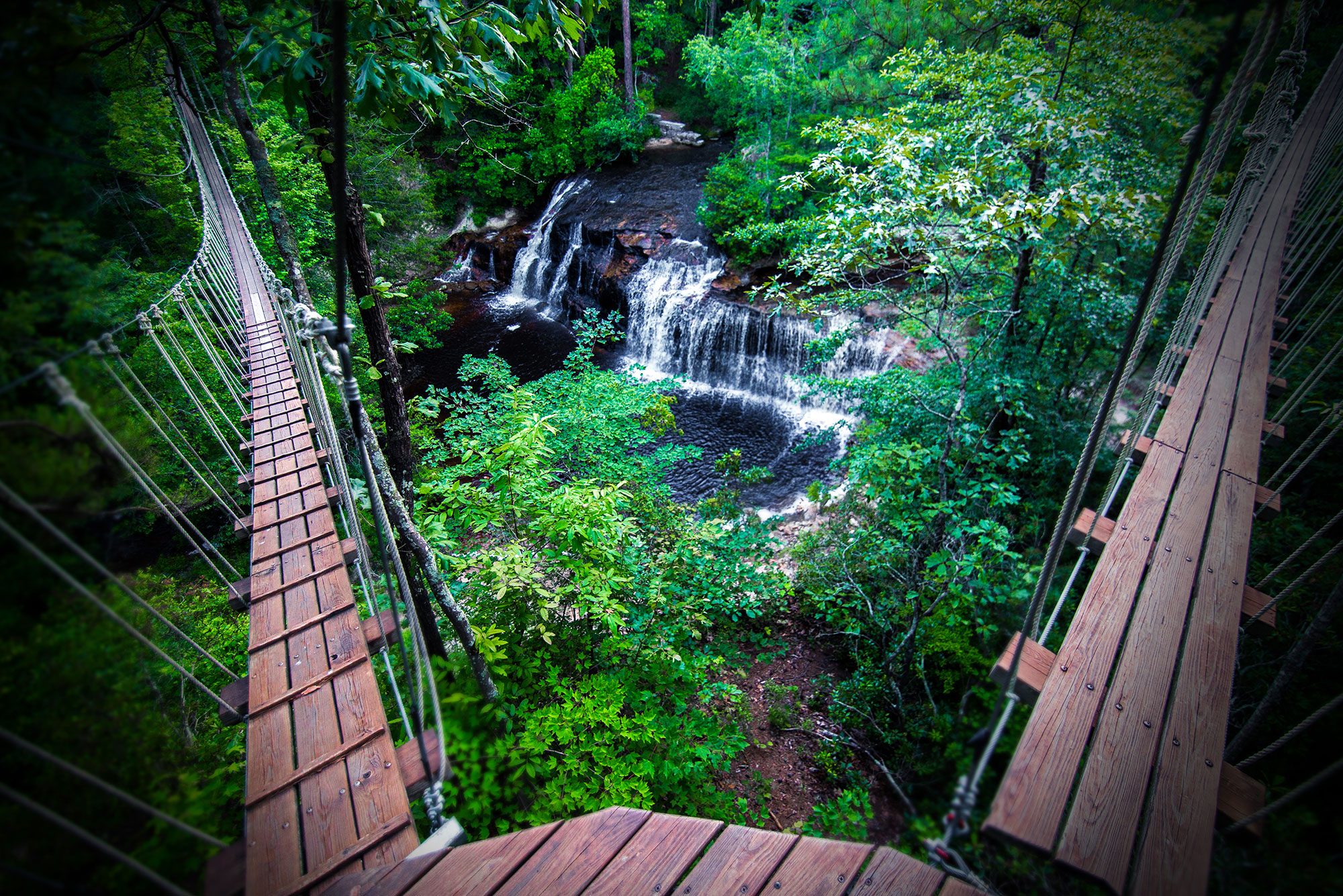 Carvers Falls Near Fayetteville NC