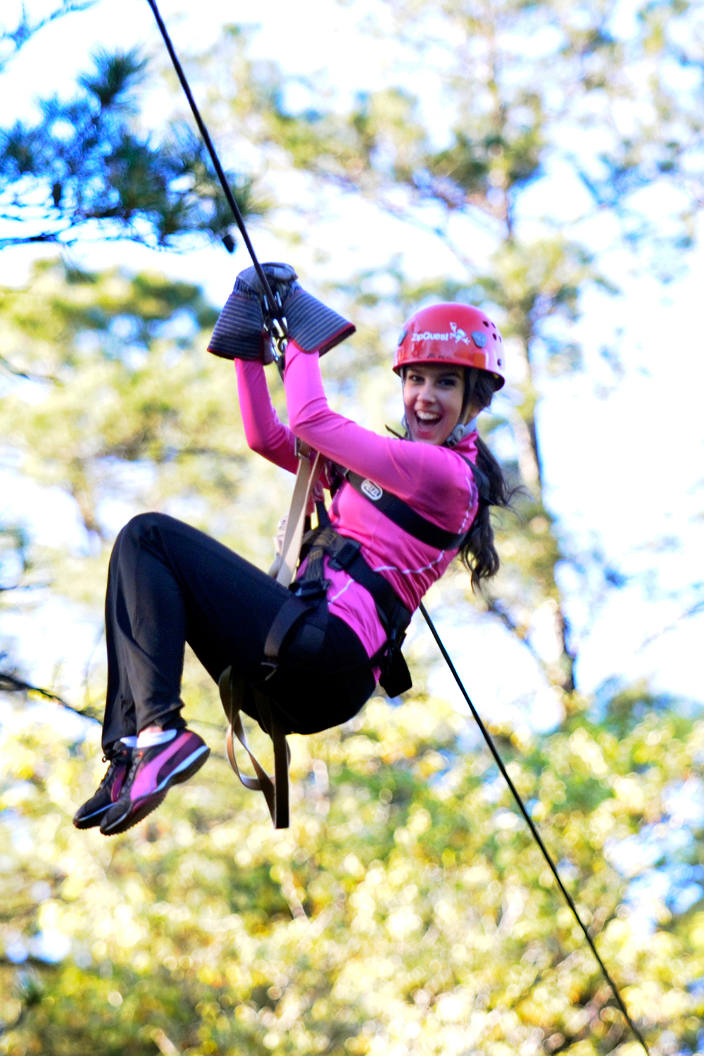 Treetop Excursion