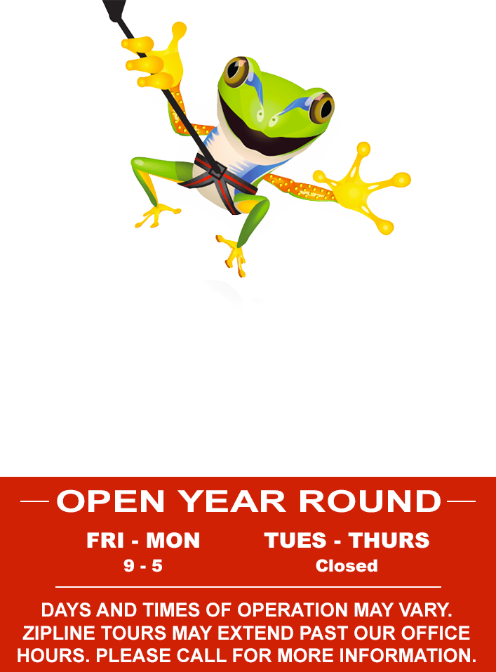 ZipQuest Waterfall & Treetop Adventure