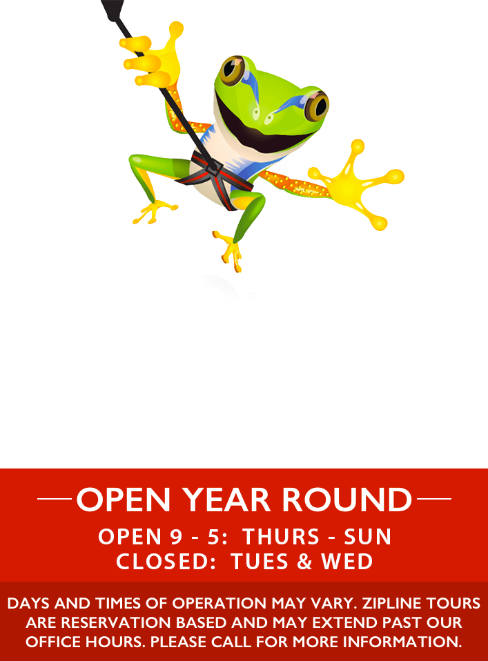 ZipQuest Waterfall & Treetop Adventure